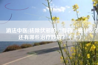 消法中医(祛除伏邪的“专药”是什么？还有哪些治疗妙招？（上）)