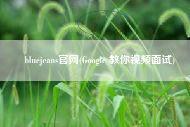 bluejeans官网(Google 教你视频面试)