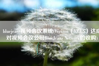 bluejeans视频会议系统(Verizon（VZ.US）达成对视频会议公司BlueJeans Network的收购)