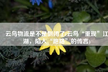 云鸟物流是不是倒闭了(云鸟“重现”江湖，陷入“跑路”的传言)