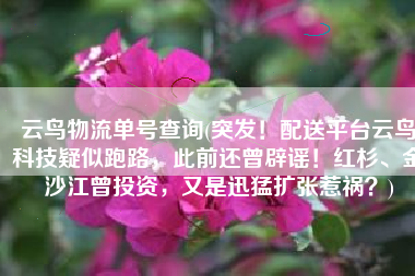 云鸟物流单号查询(突发！配送平台云鸟科技疑似跑路，此前还曾辟谣！红杉、金沙江曾投资，又是迅猛扩张惹祸？)