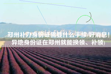 郑州补办身份证需要什么手续(好消息！异地身份证在郑州就能换领、补领)