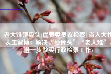 老大难硬骨头(代表委员议检察|省人大代表王智博：解决“硬骨头”“老大难”，进一步做实行政检察工作)