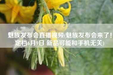 魅族发布会直播视频(魅族发布会来了！定档6月9日 新品可能和手机无关)