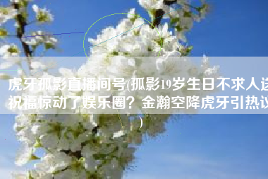 虎牙孤影直播间号(孤影19岁生日不求人送祝福惊动了娱乐圈？金瀚空降虎牙引热议)