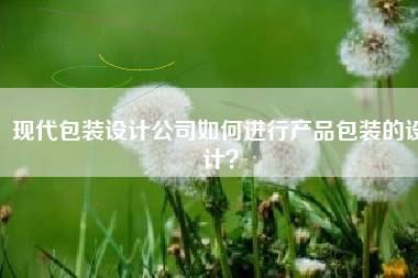 现代包装设计公司如何进行产品包装的设计？