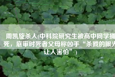 周凯旋杀人(中科院研究生被高中同学捅死，庭审时死者父母称凶手“杀戮的眼光让人害怕”)