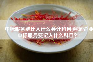 中标服务费计入什么会计科目(建筑企业中标服务费记入什么科目？)