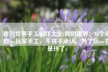 我的世界手工制作大全(我的世界：11个来自mc玩家手工，不得不承认，为了玩mc也是拼了)