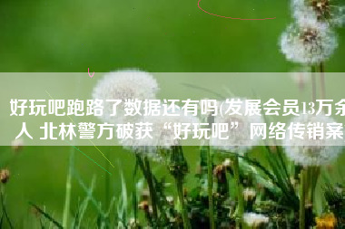 好玩吧跑路了数据还有吗(发展会员13万余人 北林警方破获“好玩吧”网络传销案)