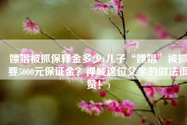 嫖娼被抓保释金多少(儿子“嫖娼”被抓要5000元保证金？禅城这位父亲的做法很赞！)
