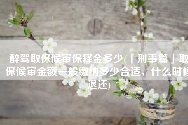 醉驾取保候审保释金多少(「刑事篇」取保候审金额一般缴纳多少合适，什么时候退还)