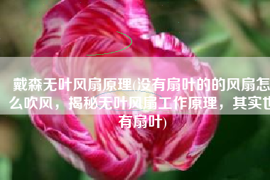 戴森无叶风扇原理(没有扇叶的的风扇怎么吹风，揭秘无叶风扇工作原理，其实也有扇叶)