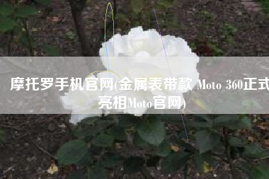 摩托罗手机官网(金属表带款 Moto 360正式亮相Moto官网)