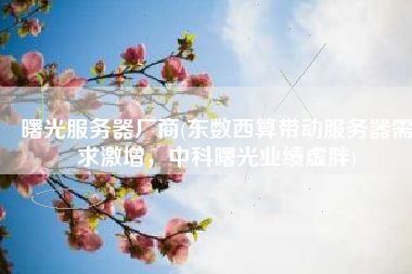 曙光服务器厂商(东数西算带动服务器需求激增，中科曙光业绩虚胖)