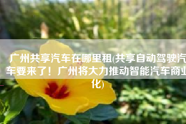 广州共享汽车在哪里租(共享自动驾驶汽车要来了！广州将大力推动智能汽车商业化)