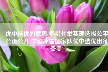 优中选优的意思(多措并举实现选拔公平公正公开 中国冰雪国家队优中选优出征冬奥)