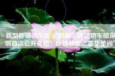 新型卧铺动车组(“双层”卧铺动车组深圳首次公开亮相：卧铺秒变“豪华单间”)