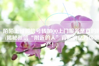 陌陌上留微信号转加QQ上门服务是真的吗(揭秘微信“附近的人”背后的亿万级黑产！)