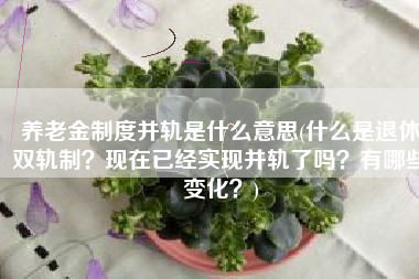 养老金制度并轨是什么意思(什么是退休双轨制？现在已经实现并轨了吗？有哪些变化？)