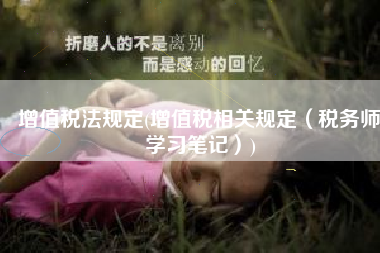 增值税法规定(增值税相关规定（税务师学习笔记）)
