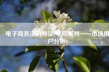 电子商务法的特征(电商系列——市场用户分析)