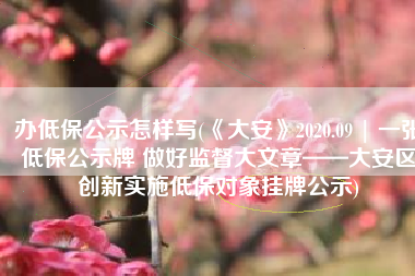 办低保公示怎样写(《大安》2020.09 | 一张低保公示牌 做好监督大文章——大安区创新实施低保对象挂牌公示)