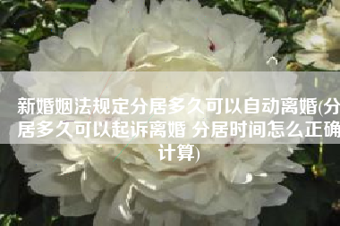 新婚姻法规定分居多久可以自动离婚(分居多久可以起诉离婚 分居时间怎么正确计算)