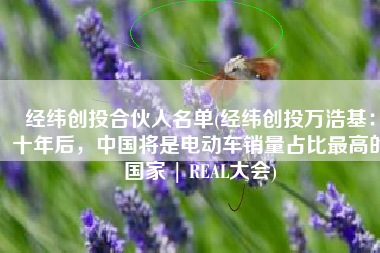 经纬创投合伙人名单(经纬创投万浩基：十年后，中国将是电动车销量占比最高的国家 | REAL大会)
