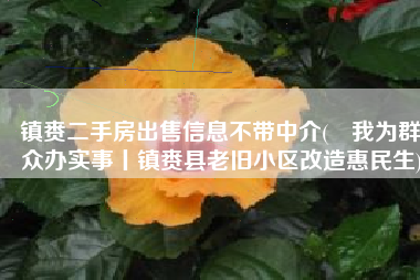 镇赉二手房出售信息不带中介(​我为群众办实事丨镇赉县老旧小区改造惠民生)