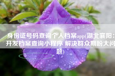 身份证号码查询个人档案app(湖北襄阳：开发档案查询小程序 解决群众期盼大问题)