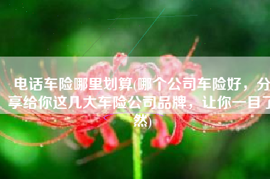 电话车险哪里划算(哪个公司车险好，分享给你这几大车险公司品牌，让你一目了然)