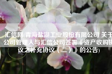 汇信网(青海盐湖工业股份有限公司 关于公司管理人与汇信公司签署《资产收购协议之补充协议（二）》的公告)
