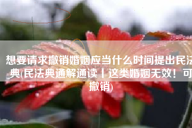 想要请求撤销婚姻应当什么时间提出民法典(民法典通解通读丨这类婚姻无效！可撤销)