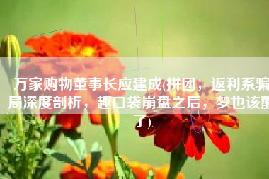 万家购物董事长应建成(拼团，返利系骗局深度剖析，趣口袋崩盘之后，梦也该醒了)