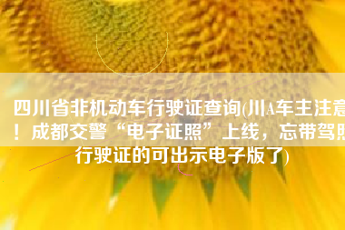 四川省非机动车行驶证查询(川A车主注意！成都交警“电子证照”上线，忘带驾照行驶证的可出示电子版了)