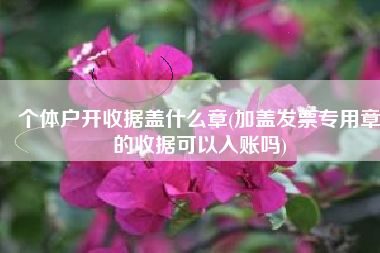 个体户开收据盖什么章(加盖发票专用章的收据可以入账吗)