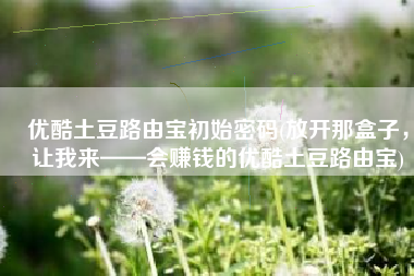 优酷土豆路由宝初始密码(放开那盒子，让我来——会赚钱的优酷土豆路由宝)