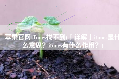 苹果官网ITunes找不到(「详解」itunes是什么意思？itunes有什么作用？)