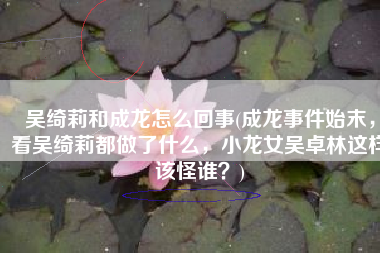 吴绮莉和成龙怎么回事(成龙事件始末，看吴绮莉都做了什么，小龙女吴卓林这样该怪谁？)