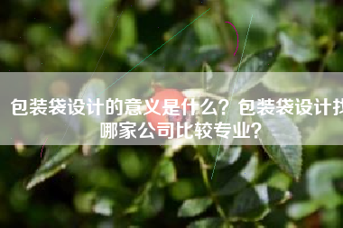 包装袋设计的意义是什么？包装袋设计找哪家公司比较专业？