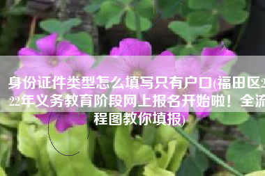身份证件类型怎么填写只有户口(福田区2022年义务教育阶段网上报名开始啦！全流程图教你填报)
