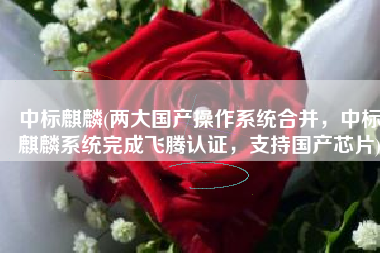 中标麒麟(两大国产操作系统合并，中标麒麟系统完成飞腾认证，支持国产芯片)