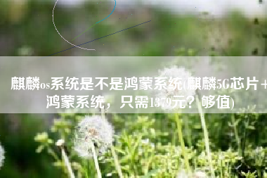 麒麟os系统是不是鸿蒙系统(麒麟5G芯片+鸿蒙系统，只需1379元？够值)