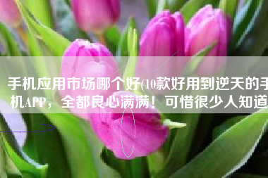 手机应用市场哪个好(10款好用到逆天的手机APP，全都良心满满！可惜很少人知道)