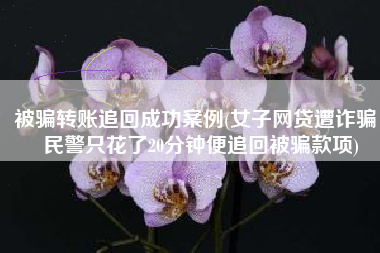 被骗转账追回成功案例(女子网贷遭诈骗，民警只花了20分钟便追回被骗款项)