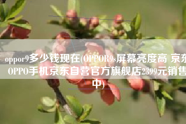 oppor9多少钱现在(OPPOR9s屏幕亮度高 京东OPPO手机京东自营官方旗舰店2399元销售中)