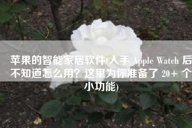 苹果的智能家居软件(入手 Apple Watch 后不知道怎么用？这里为你准备了 20+ 个小功能)