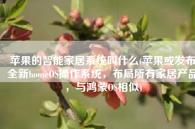 苹果的智能家居系统叫什么(苹果或发布全新homeOS操作系统，布局所有家居产品，与鸿蒙OS相似)