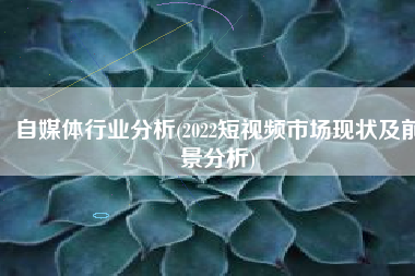 自媒体行业分析(2022短视频市场现状及前景分析)